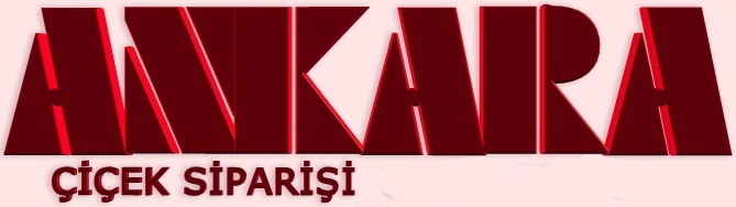 ankara �i�ek sipari�i