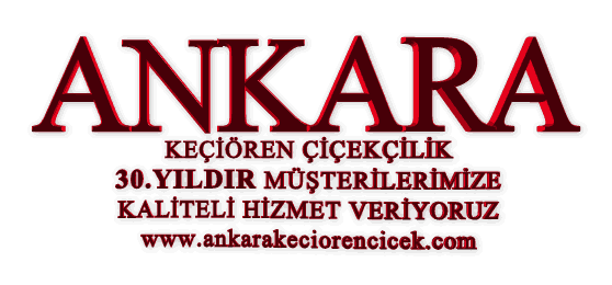 Ankara Ke�i�ren �i�ek G�nder
