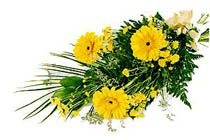 sari gerbera ve sari �i�ek   Ankara A�a��e�lence Mahallesi cicekciler 