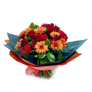 g�l gerbera ve karanfiller   Ankara Sanatoryum �i�ek ma�azas� 