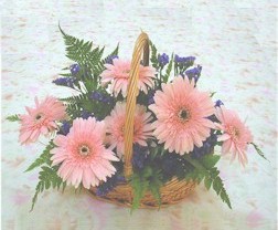 gerbera �i�eklerinde sepet   Ankara Emrah Mahallesi �i�ek g�nderme 