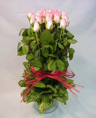 13 adet pembe g�l silindirde   Ankara Emrah Mahallesi �i�ek g�nderme 