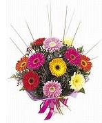 karisik gerbera �i�ekleri  Ankara Emrah Mahallesi �i�ek g�nderme 