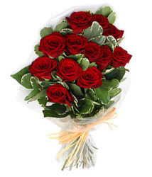  Ankara 19 May�s Mahallesi ucuz �i�ek g�nder  9 lu kirmizi g�l buketi.