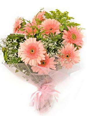  Ankara P�narba�� Mahallesi sevgilime hediye �i�ek  11 adet gerbera �i�egi buketi