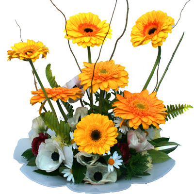 camda gerbera ve mis kokulu kir �i�ekleri  Ankara �i�ekli Mahallesi Oran 14 �ubat sevgililer g�n�