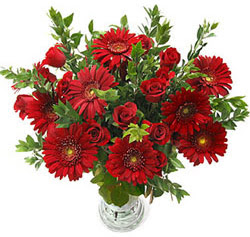 5 adet kirmizi g�l 5 adet gerbera aranjmani  Ankara Atapark Mahallesi anneler g�n� �i�ek yolla 