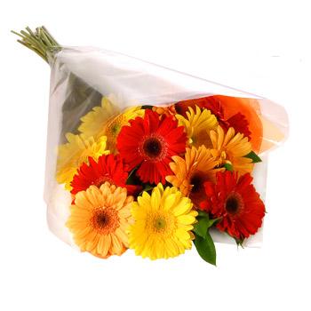 Karisik renklerde gerbera buketi  Ankara �ncirli Mahallesi �i�ek yolla 