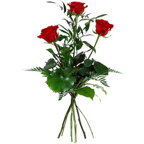  Ankara Y�kseltepe Mah �i�ek g�nderme  3 adet k�rm�z� g�lden buket