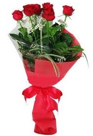 �i�ek yolla sitesinden 7 adet k�rm�z� g�l  Ankara Kanuni Mahallesi g�venli h�zl� �i�ek 