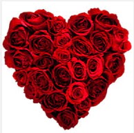  Ankara Y�kseltepe Mah �i�ek g�nderme  19 adet k�rm�z� g�lden kalp tanzimi