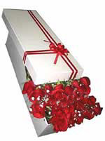  Ankara �i�ekli Mahallesi Oran 14 �ubat sevgililer g�n� 11 adet 1.kalite magnum g�ller
