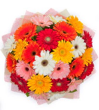 15 adet renkli gerbera buketi  Ankara Ku�ca��z Mahallesi hediye �i�ek yolla 