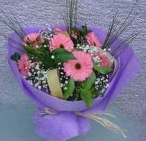  Ankara Sanatoryum �i�ek ma�azas�  9 adet gerbera g�zel �i�egi