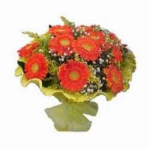  Ankara Emrah Mahallesi �i�ek g�nderme  11 adet se�me gerbera �i�egi