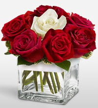 Tek a�k�ms�n �i�e�i 8 k�rm�z� 1 beyaz g�l  Ankara Y�kseltepe Mah �i�ek g�nderme 