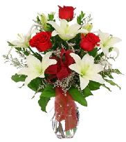 5 adet k�rm�z� g�l ve 1 dal kazablanka  Ankara Ufuktepe Mahallesi yurti�i �i�ek sipari�i 