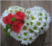 3 adet k�rm�z� g�l mika kalptte papatyalar  Ankara Kanuni Mahallesi g�venli h�zl� �i�ek 