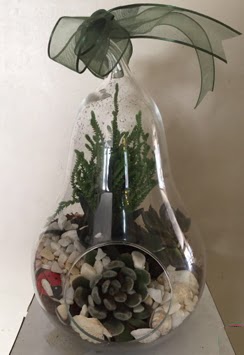 Orta boy armut terrarium 3 kakt�s  Ankara Ba�lum �i�ek sipari�i sitesi 