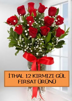  �thal k�rm�z� 12 adet kaliteli g�l  Ankara �efkat Mahallesi �i�ek online 