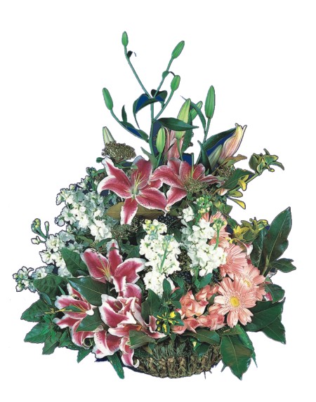  Ankara Aktepe �nternetten �i�ek sipari�i  Pembe gerbera ve lilyum sepeti 