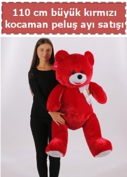 110 cm b�y�k k�rm�z� kocaman pelu� ay�  Ankara Esertepe Mahallesi cicek