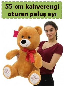 55 cm orta boy oturan kahverengi pelu� ay�  Ankara �i�ekli Mahallesi Oran 14 �ubat sevgililer g�n�