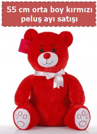 55 cm k�rm�z� orta boy oturan pelu� ay�  Ankara Emrah Mahallesi �i�ek g�nderme 