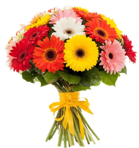 Gerbera demeti buketi  Ankara P�narba�� Mahallesi sevgilime hediye �i�ek 