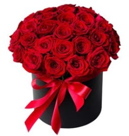 25 adet k�rm�z� g�l k�z isteme �i�e�i  Ankara Kanuni Mahallesi g�venli h�zl� �i�ek 