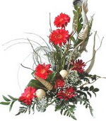  Ankara �ncirli �i�ek sat���  Kirmizi gerbera �zel tanzim