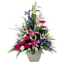  Ankara Aktepe �nternetten �i�ek sipari�i  lilyum gerbera iris lilyum