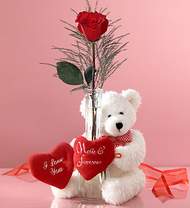  tek g�l ve oyuncak pelus  Ankara Esertepe Mahallesi cicek