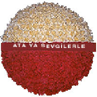 arma anitkabire - mozele i�in  Ankara Sanatoryum �i�ek ma�azas� 