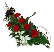 7 adet g�l ve kazablanka   Ankara �efkat Mahallesi �i�ek online 
