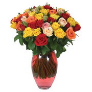 51 adet g�l ve kaliteli vazo   Ankara Sanatoryum �i�ek ma�azas� 