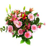 lilyum ve gerbera �i�ekleri - �i�ek se�imi -  Ankara Esertepe Mahallesi cicek