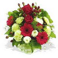 karanfil gerbera ve g�ller - d�s�nenelere �zel -  Ankara Esertepe Mahallesi cicek