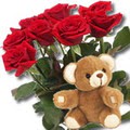 11 adet g�l ve ayicik buket   Ankara Emrah Mahallesi �i�ek g�nderme 