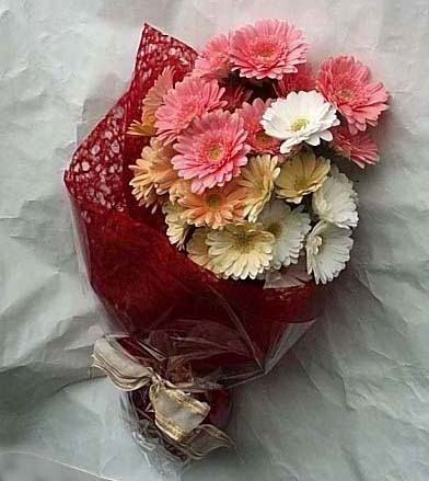 19 adet karisik gerbera buketi  Ankara Ayval� Mahallesi �i�ek g�nderme sitemiz g�venlidir 