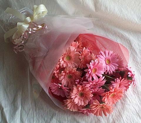 17 adet gerbera buketi  Ankara Ayval� Mahallesi �i�ek g�nderme sitemiz g�venlidir 