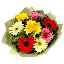 9 adet karisik gerbera demeti  Ankara 23 Nisan Mahallesi �i�ek�i ma�azas� 