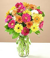  Ankara Bas�nevleri �i�ek�i telefonlar�  17 adet karisik gerbera