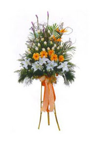  Ankara 23 Nisan Mahallesi �i�ek�i ma�azas�  Kazablanka, gerbera ve g�llerle hazirlanmis ferfor