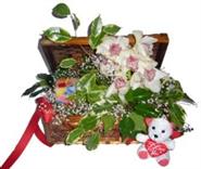 Sandik i�erisinde orkide , mum ve oyuncak
