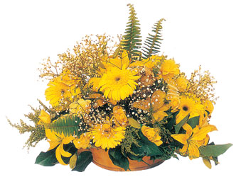  Ankara �i�ekli Mahallesi Oran 14 �ubat sevgililer g�n� karisik mevsim sepeti - mevsimsel �i�ekler