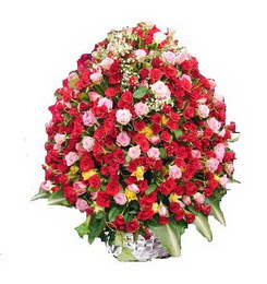  Ankara Bas�nevleri Mahallesi �i�ek sipari�i  365 g�n 365 g�ne �zel g�l sepeti