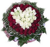  Ankara 23 Nisan Mahallesi �i�ek�i ma�azas�  27 adet kirmizi ve beyaz g�l sepet i�inde