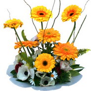 camda gerbera ve mis kokulu kir �i�ekleri  Ankara �i�ekli Mahallesi Oran 14 �ubat sevgililer g�n�