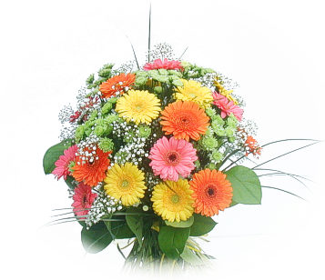 13 adet gerbera �i�egi buketi  Ankara Aktepe �nternetten �i�ek sipari�i 